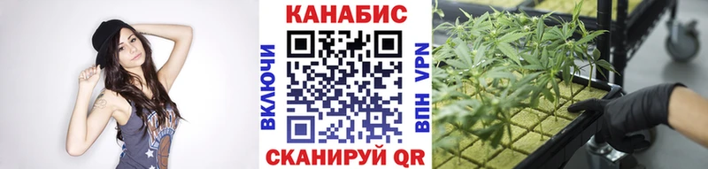 Шишки марихуана гибрид  Ельня 
